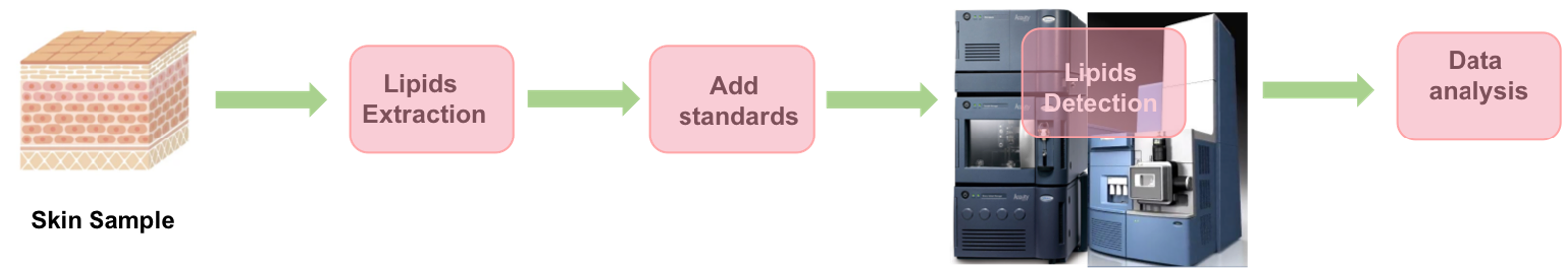 The protocol workflow of CerEOH targeted lipidomics