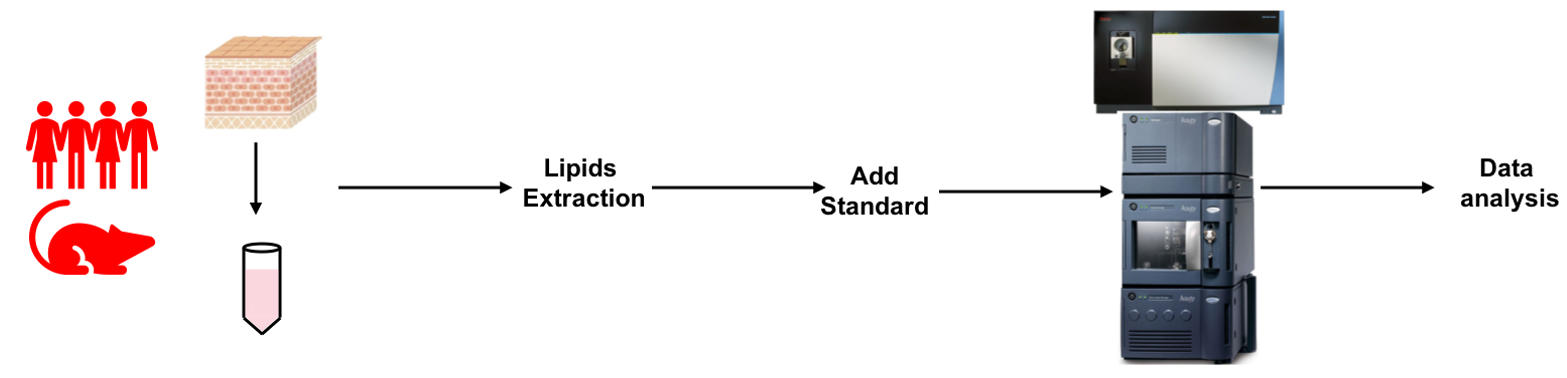 The protocol workflow of CerEOP targeted lipidomics