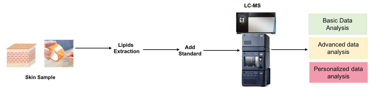 The protocol workflow of CerEOS targeted lipidomics