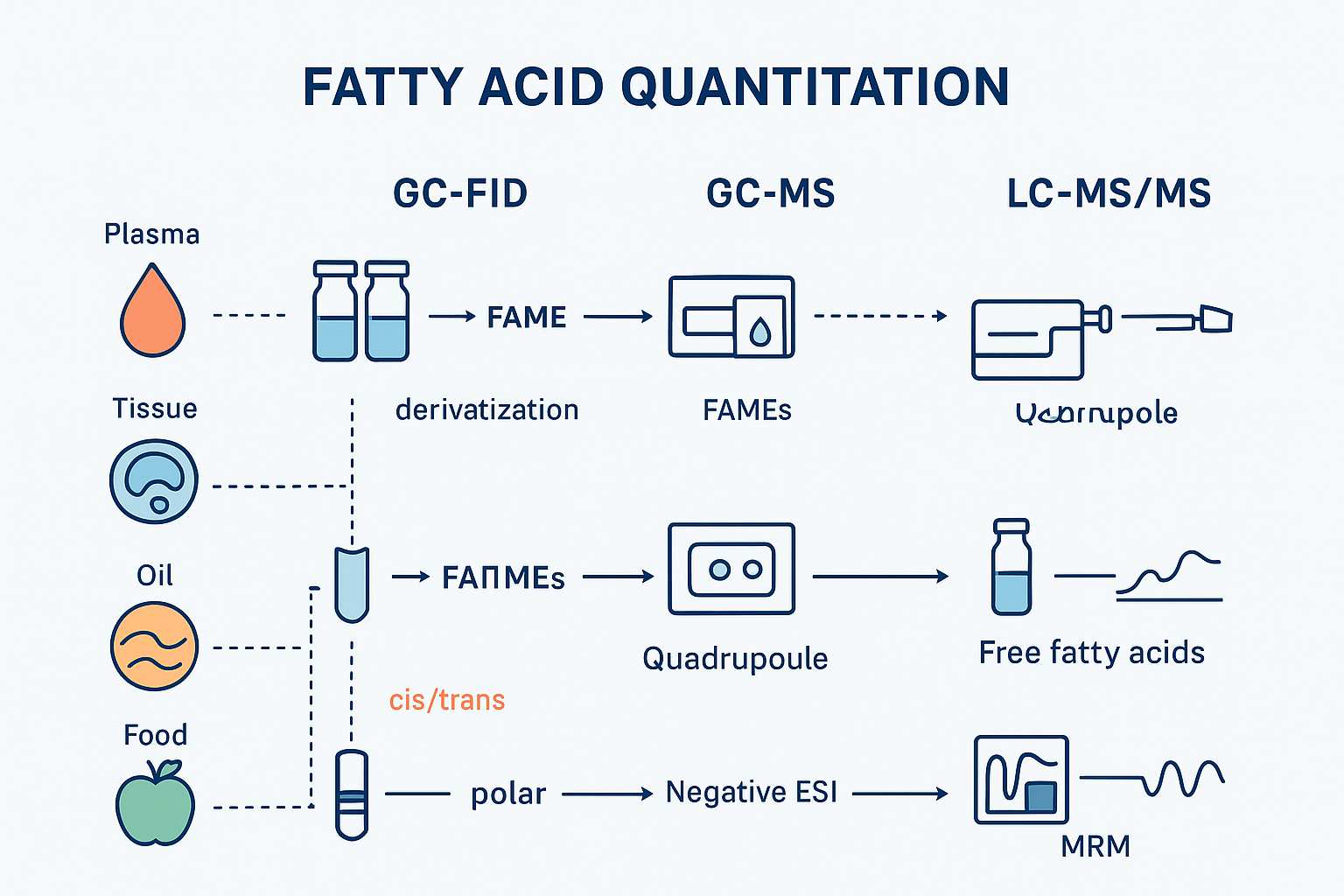 Saturated vs Unsaturated Fatty Acids: How to Select GC-FID, GC-MS, or LC-MS/MS for Quantitation