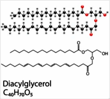 Diacylglycerol: Structure, Functions, and Analytical Methods