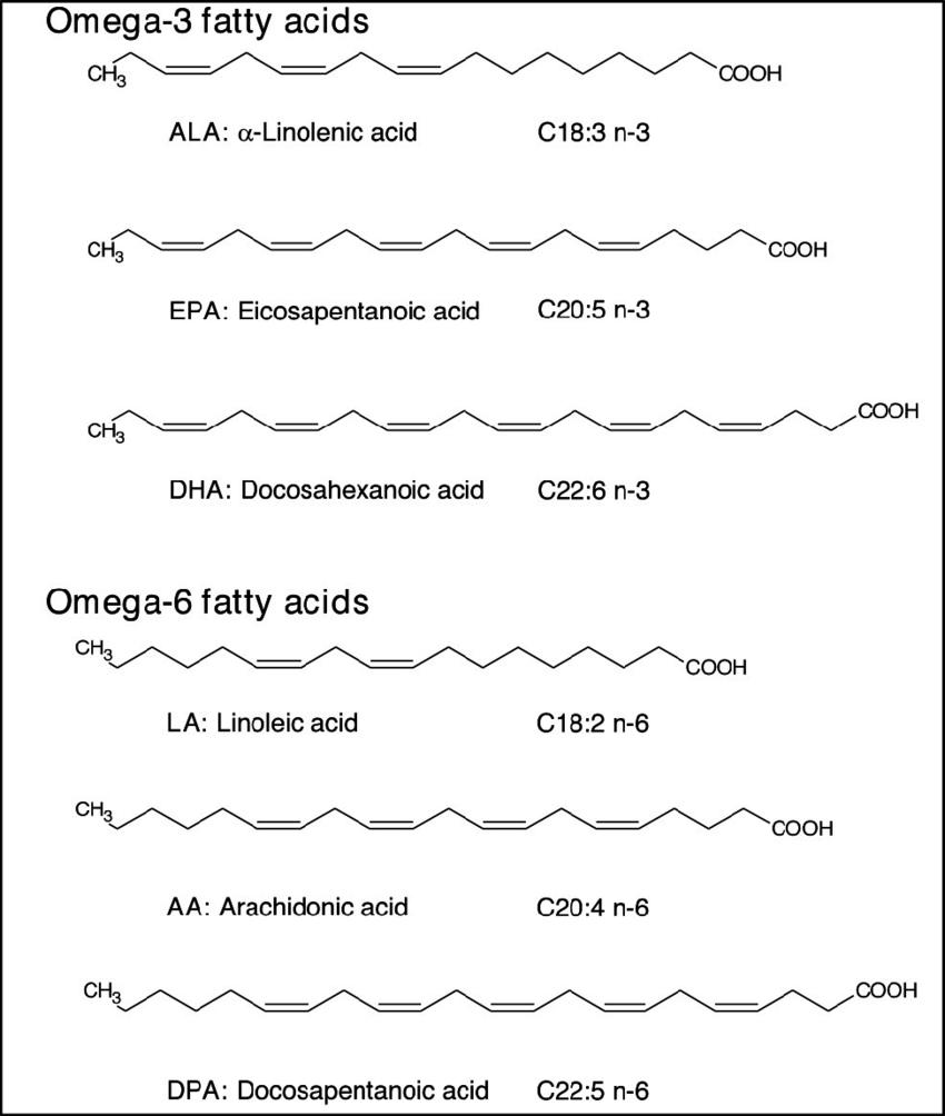 Structures of omega-6 and omega-3 fatty acids