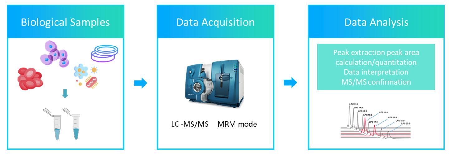 workflow of eicosanoid analysis service