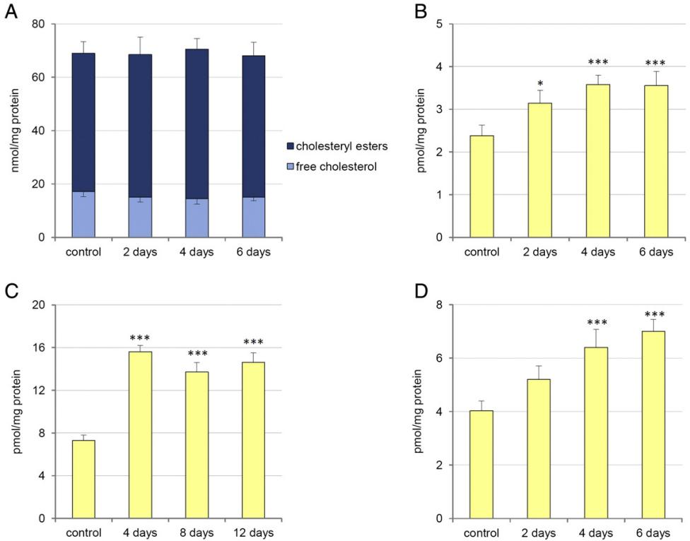 Plasma levels of CoQ9 in control mice, apoE deficient mice, and GK-rats after treatment with 10,11-oxidosqualene.