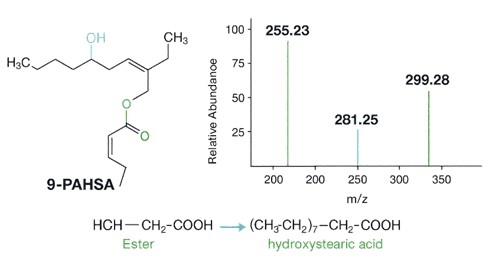 Structural diagram of 9-PAHSA linked to its MS/MS spectrum with labeled fragment ions confirming hydroxyl and ester linkage sites.
