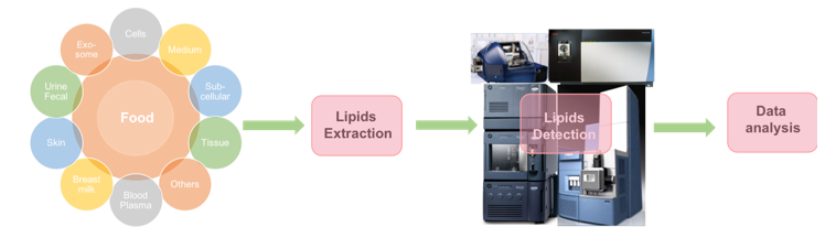 Food Lipidomics in Nutrition and Human Health