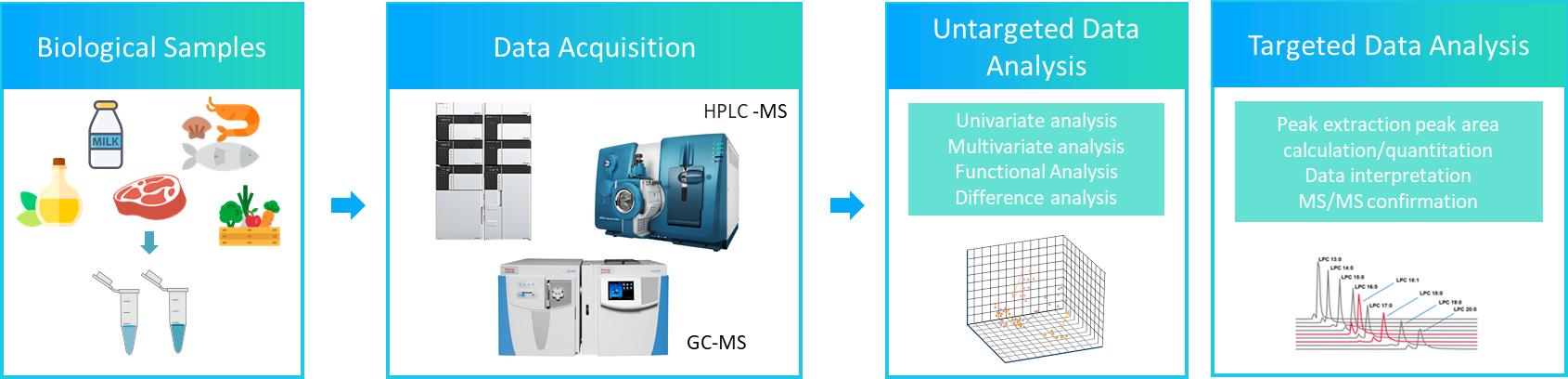 The workflow of food lipidomics analysis.