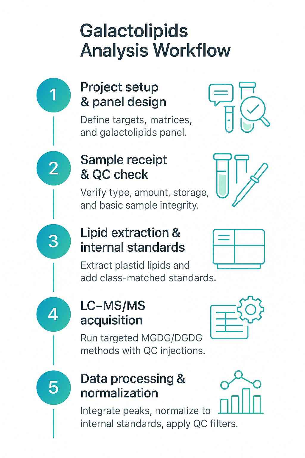 Workflow for Galactolipids Analysis