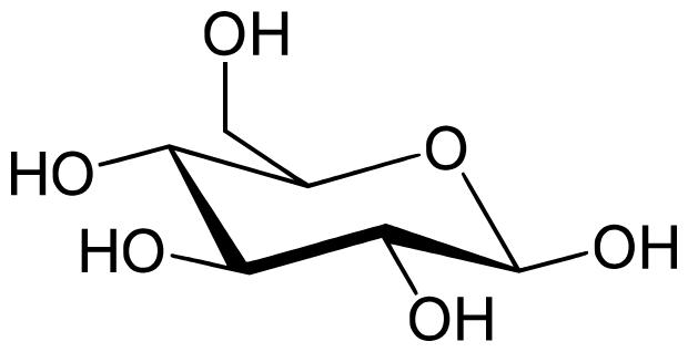 Glucocerebroside Analysis Service