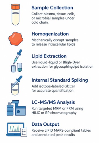 Workflow for Glucosylceramide Analysis