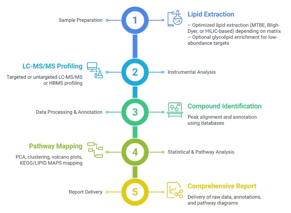 Workflow for Glycolipid Analysis