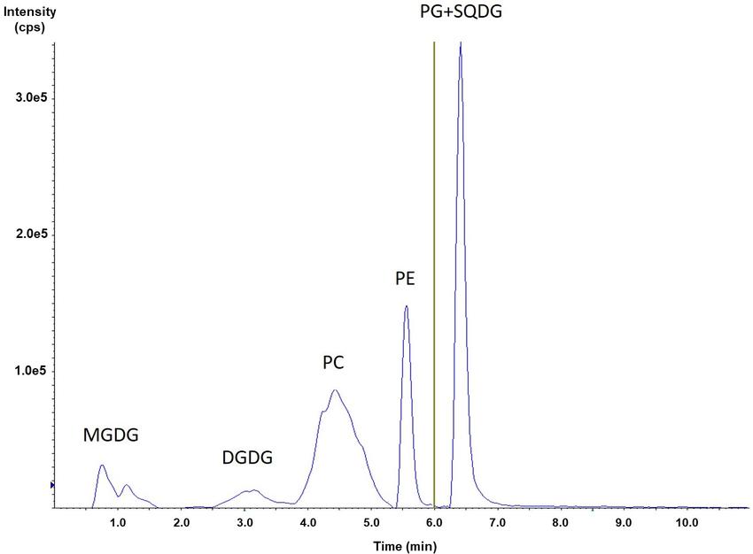 HILIC-ESI-MS/MS analysis of a phospholipid and glycolipids extracted from S. costatus (Mazzella, Nicolas, et al., 2023).