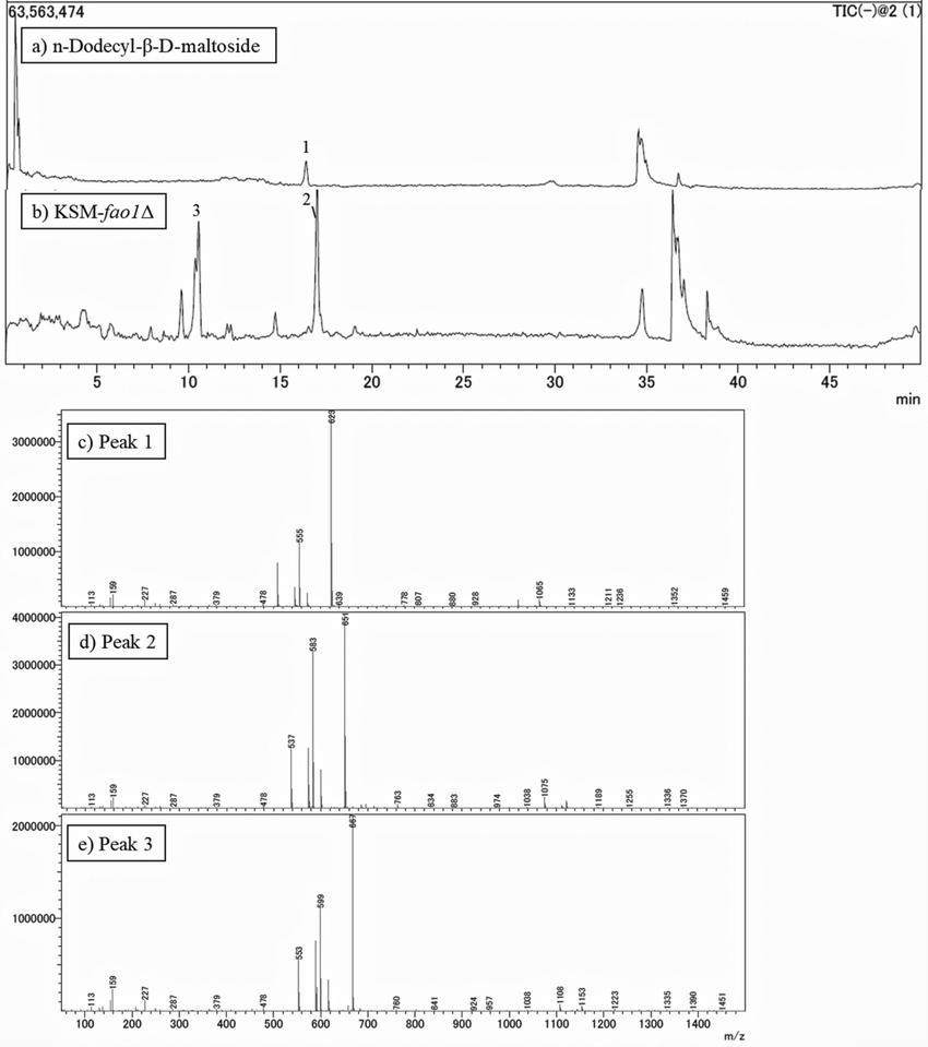 HPLC-ESI MS analysis of glycolipids from KSM-fao1 grown on 2-tetradecanol