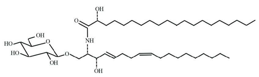 Glycosphingolipid Analysis Service