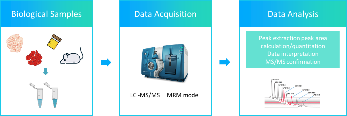 The workflow of hepoxilins analysis service.