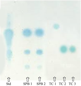 Chromatogram showing distinct bands representing bacterial metabolites from different Vibrio strains on a thin layer chromatography (TLC) plate.