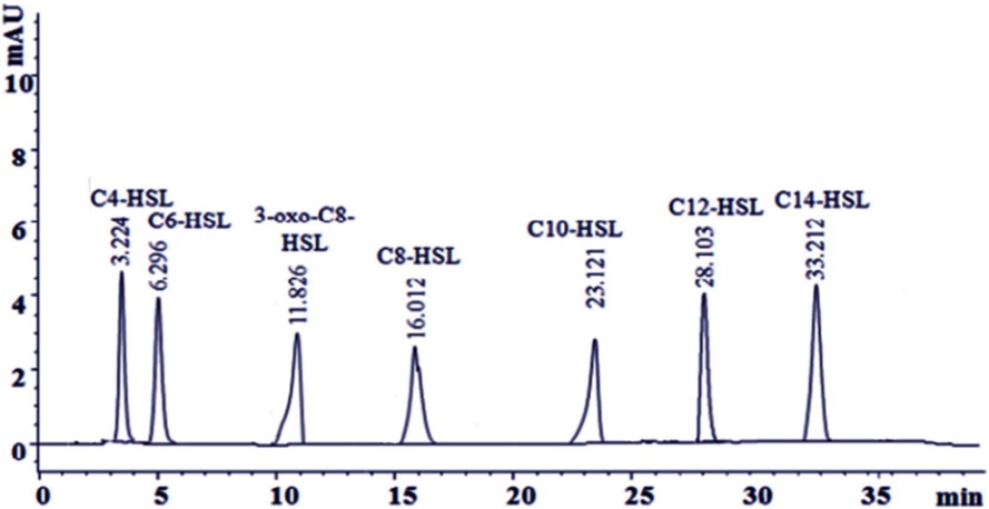 High-performance liquid chromatography (HPLC) chromatogram illustrating multiple peaks corresponding to different acyl homoserine lactones (AHLs) produced by Vibrio harveyi.