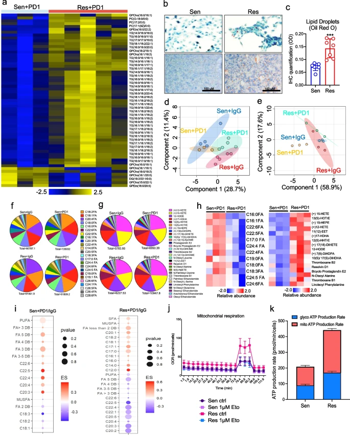 Heatmap showing differential lipid profiles in immunotherapy-sensitive vs. resistant cancer cells.