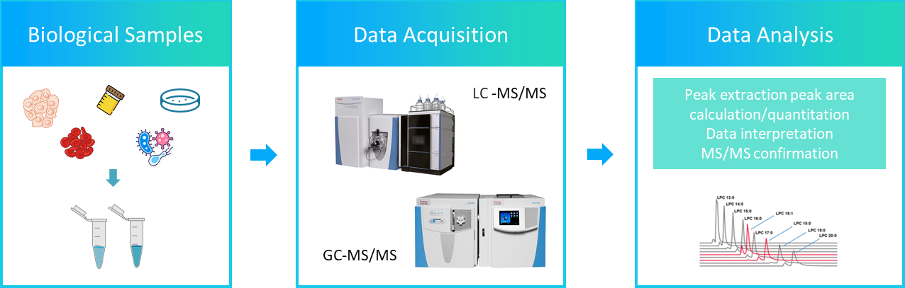 The workflow of isofurans analysis service