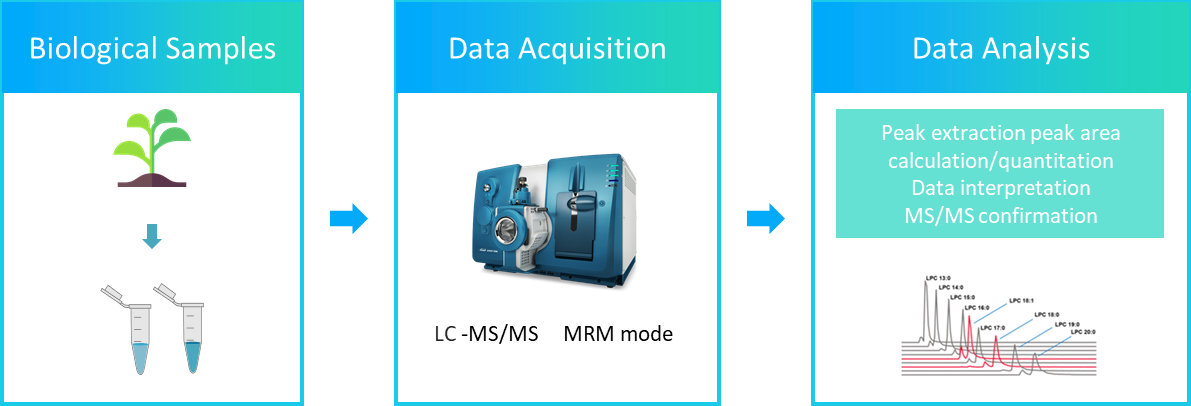 The workflow of jasmonic acids analysis service