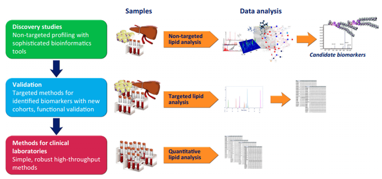 Lipidomics Bioinformation Analysis