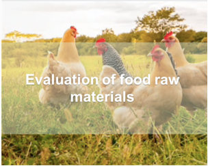 Lipidomics in Food Quality