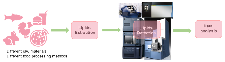 Lipidomics in Food Quality
