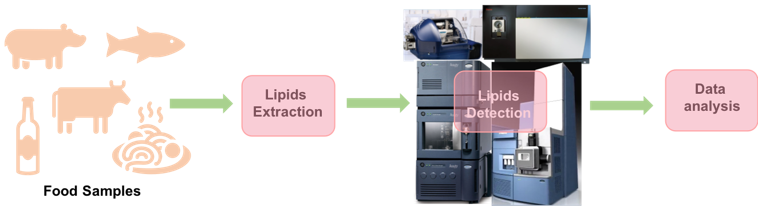 Lipidomics in Food Safety