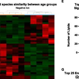 UMAP plot illustrating lipidomic divergence in aging primates for metabolic research studies.