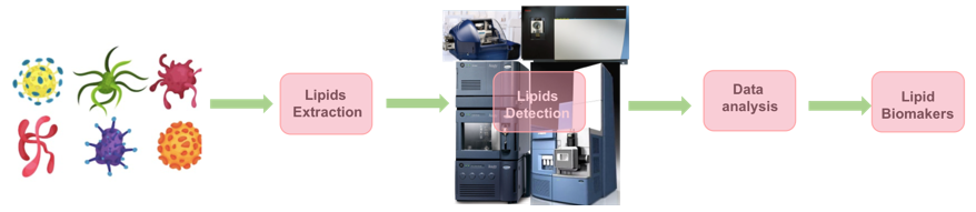 Lipidomics in Microorganisms Biomakers Research