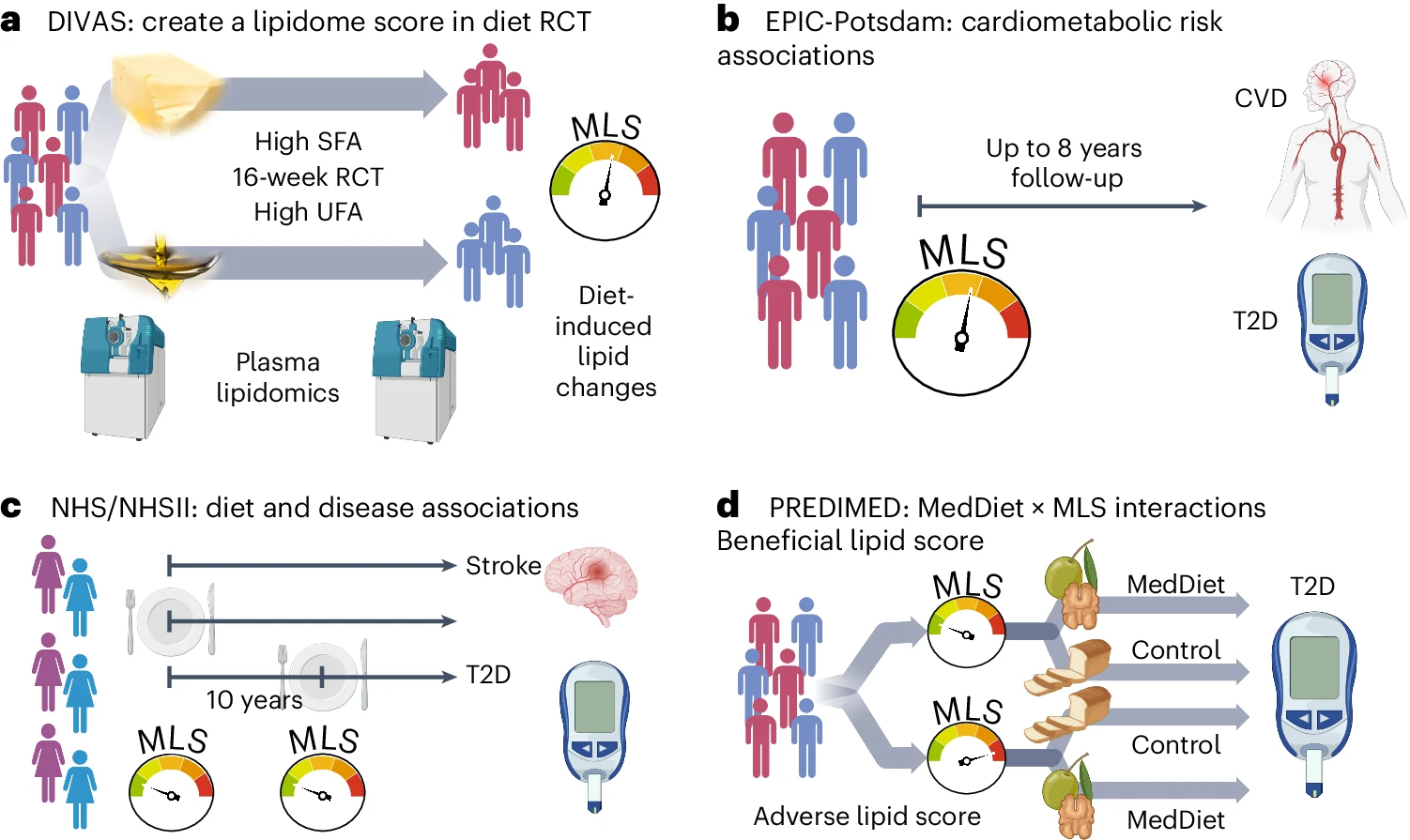 Study design figure for precision nutrition lipidomics linking diet fat quality to lipidome response.