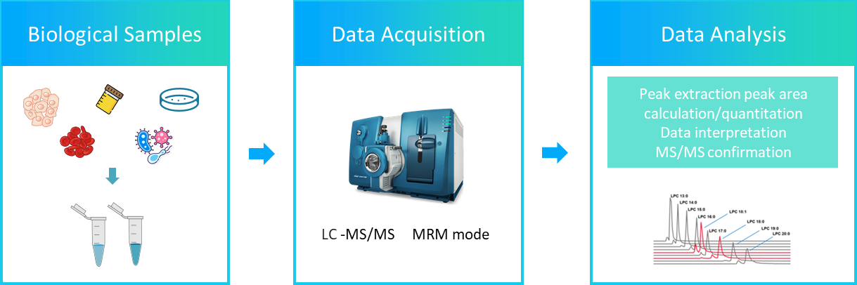 The workflow of lipoxins analysis service.