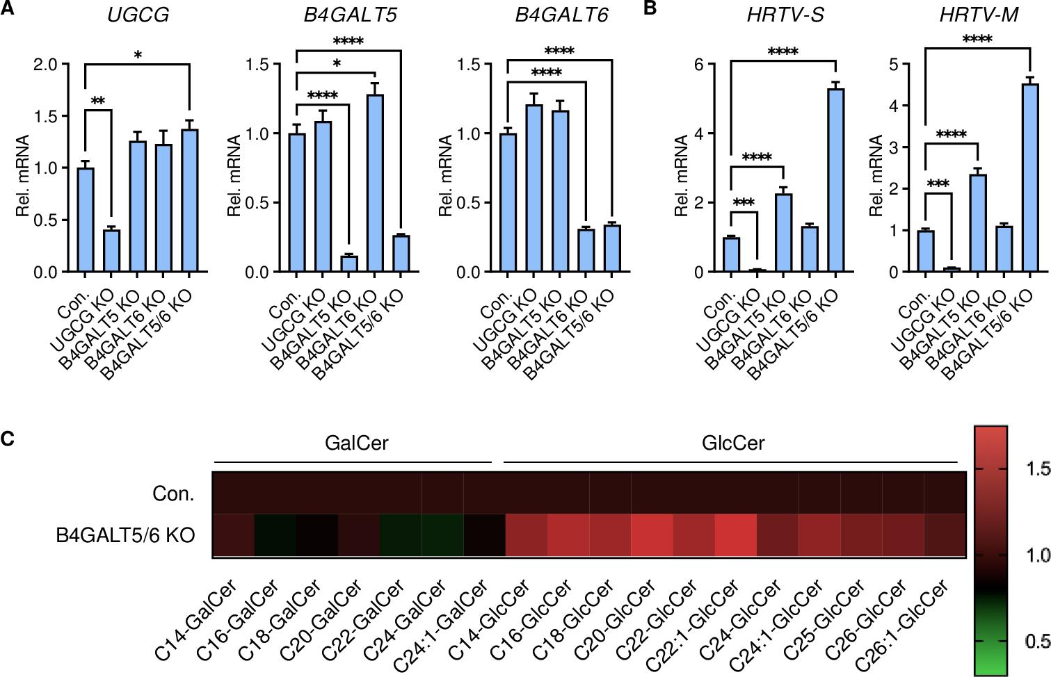 Glycosphingolipid downstream of GlcCer is not required for HRTV infection.