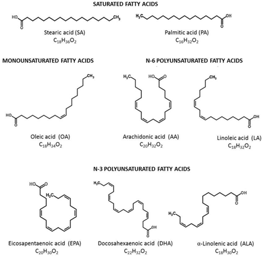 Overview of Long Chain Fatty Acid