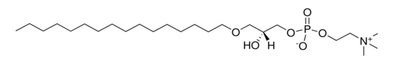 LysoPAF Analysis Service