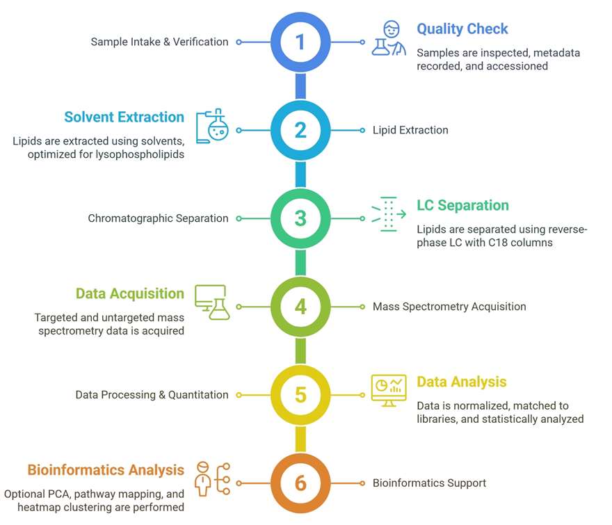 Workflow for Lysophospholipid Analysis
