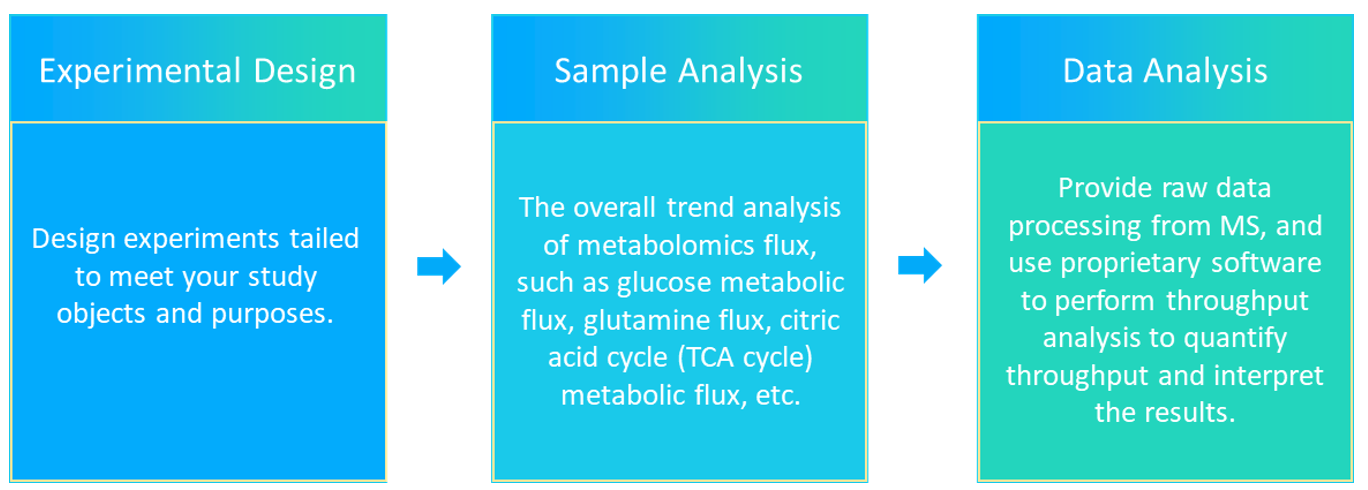 Our Metabolic Flux Analysis Services