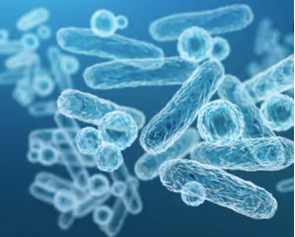 Microorganisms Lipidomics in Drug Research