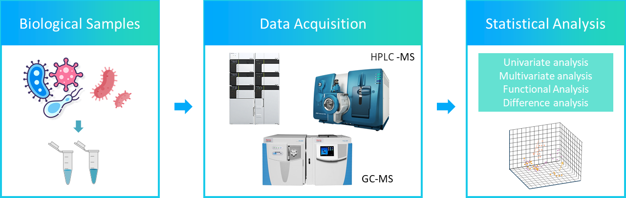 The workflow of microbial untargeted lipidomics.