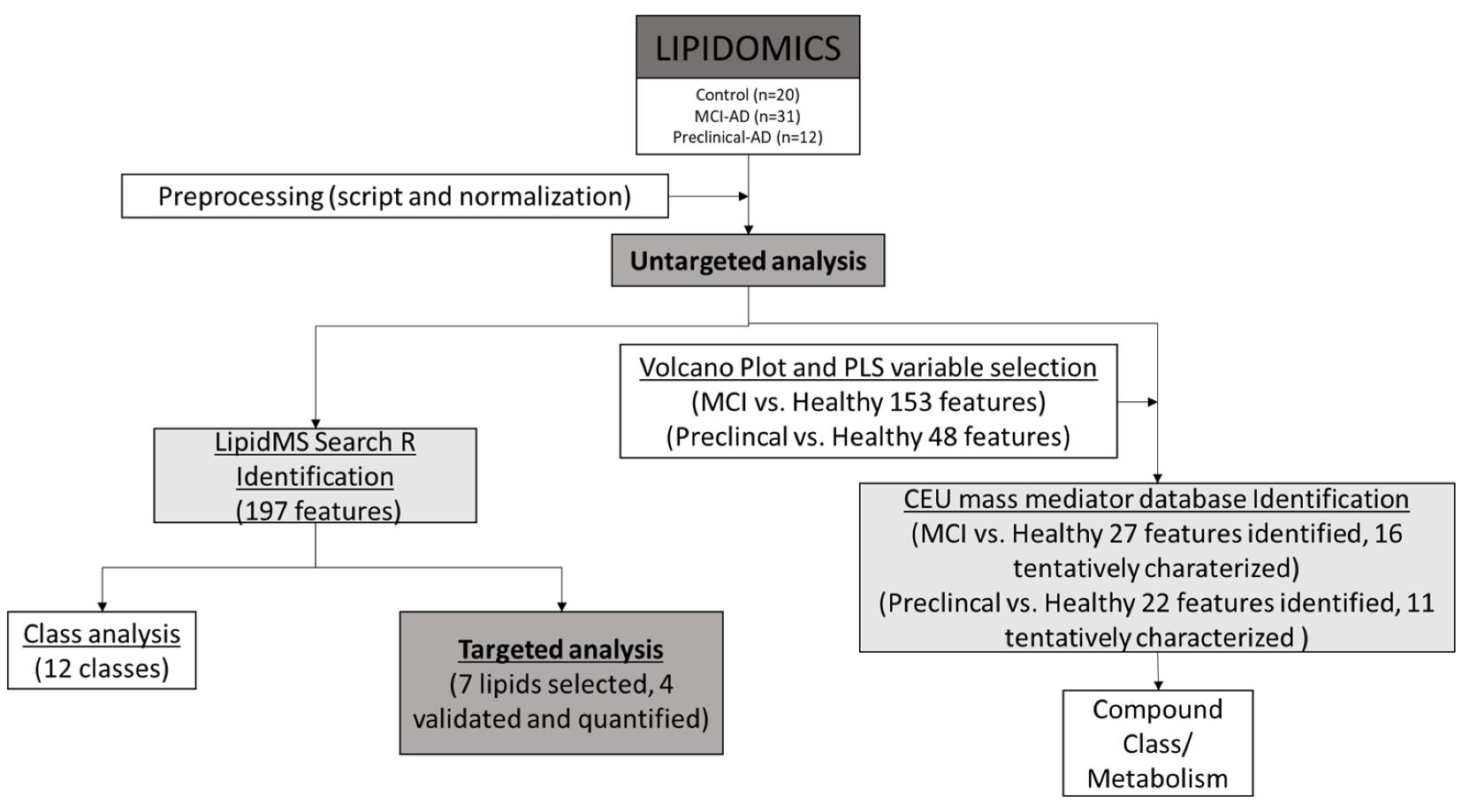 Workflow schematic for plasma lipidomics biomarker discovery in early Alzheimer's disease research (LC-MS/MS).