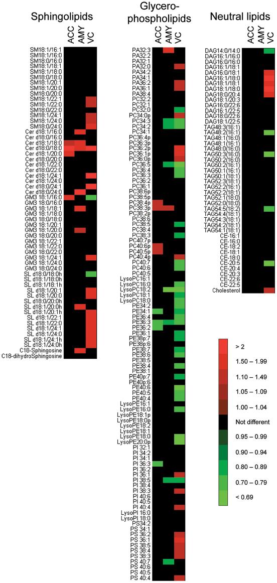 Heatmap summarizing differential lipid species in Parkinson's disease brain tissue lipidomics analysis (LC-MS).