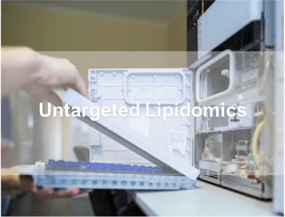 Untargeted Lipidomics