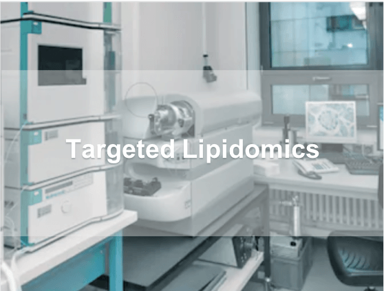 targeted lipidomics