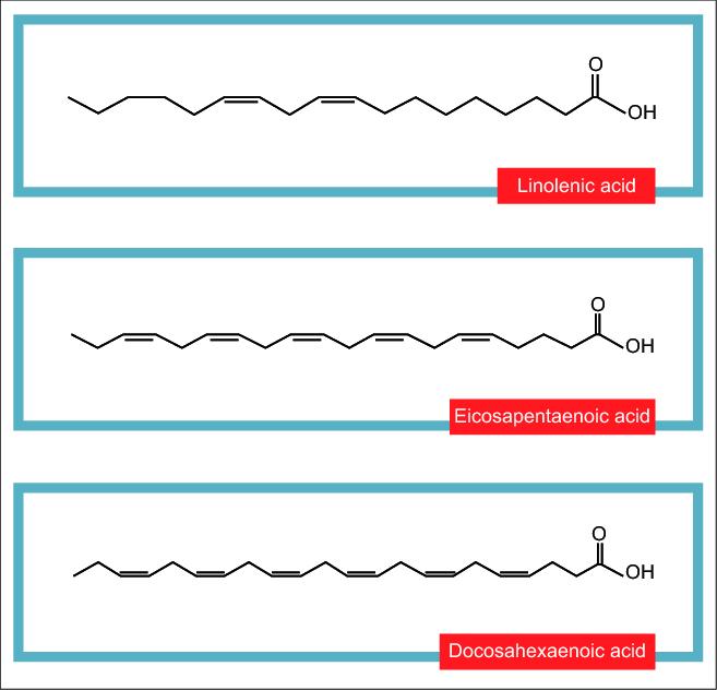 Structure of omega 3 fatty acids: fi rst double bond at the third carbon molecule from the methyl end of the chain.