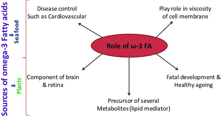 Role of omega-3 fatty acids