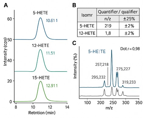 Chromatograms, ion-ratio table, and MS/MS spectra confirming isomeric separation and identity of HETEs.