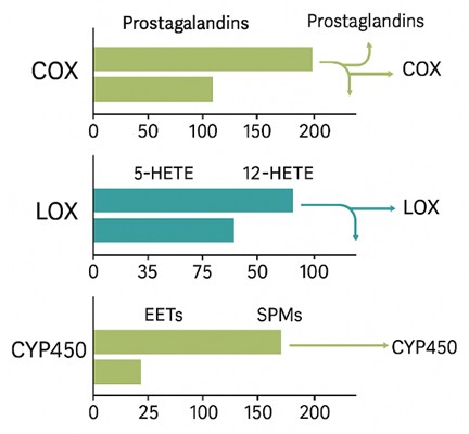 Bar plots illustrating oxylipin abundances grouped by biosynthetic pathways: COX, LOX, and CYP450.
