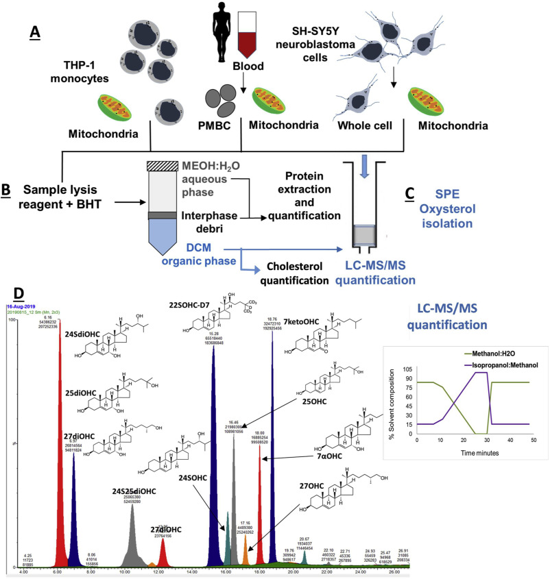  Schematic workflow showing isolation of lipids and oxysterols from human cells, including mitochondrial preparation, SPE-based extraction, and LC-MS/MS analysis.