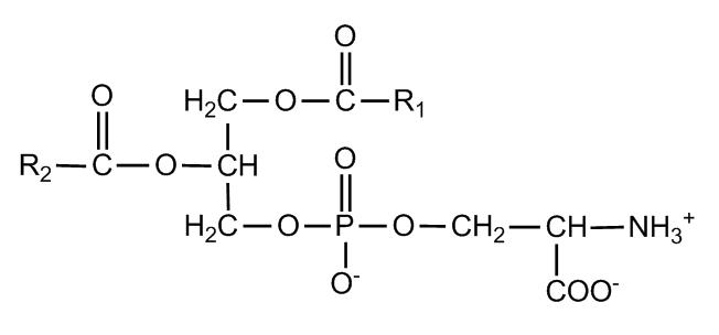 Phosphatidylserine Metabolism Structure, Functions, and Analytical Techniques