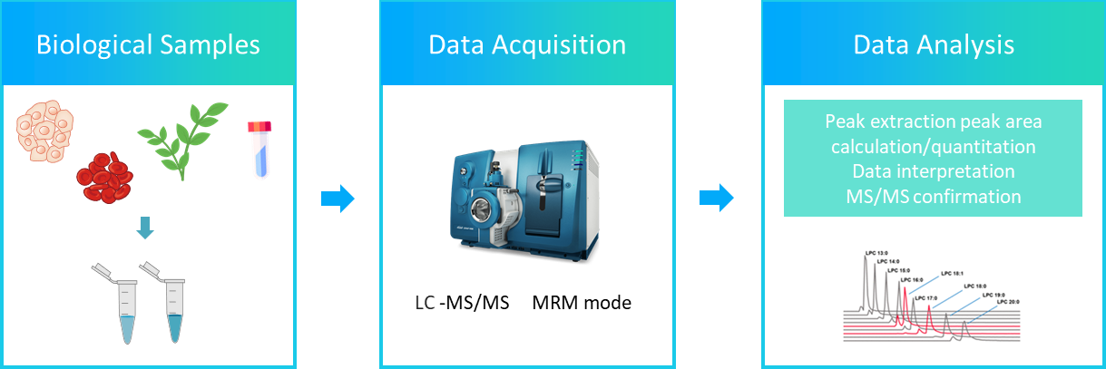 The workflow of phytoprostane analysis service